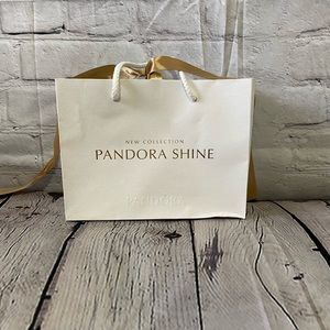 small pandora gift bolsa